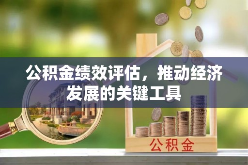 天峨公积金绩效评估，推动经济发展的关键工具